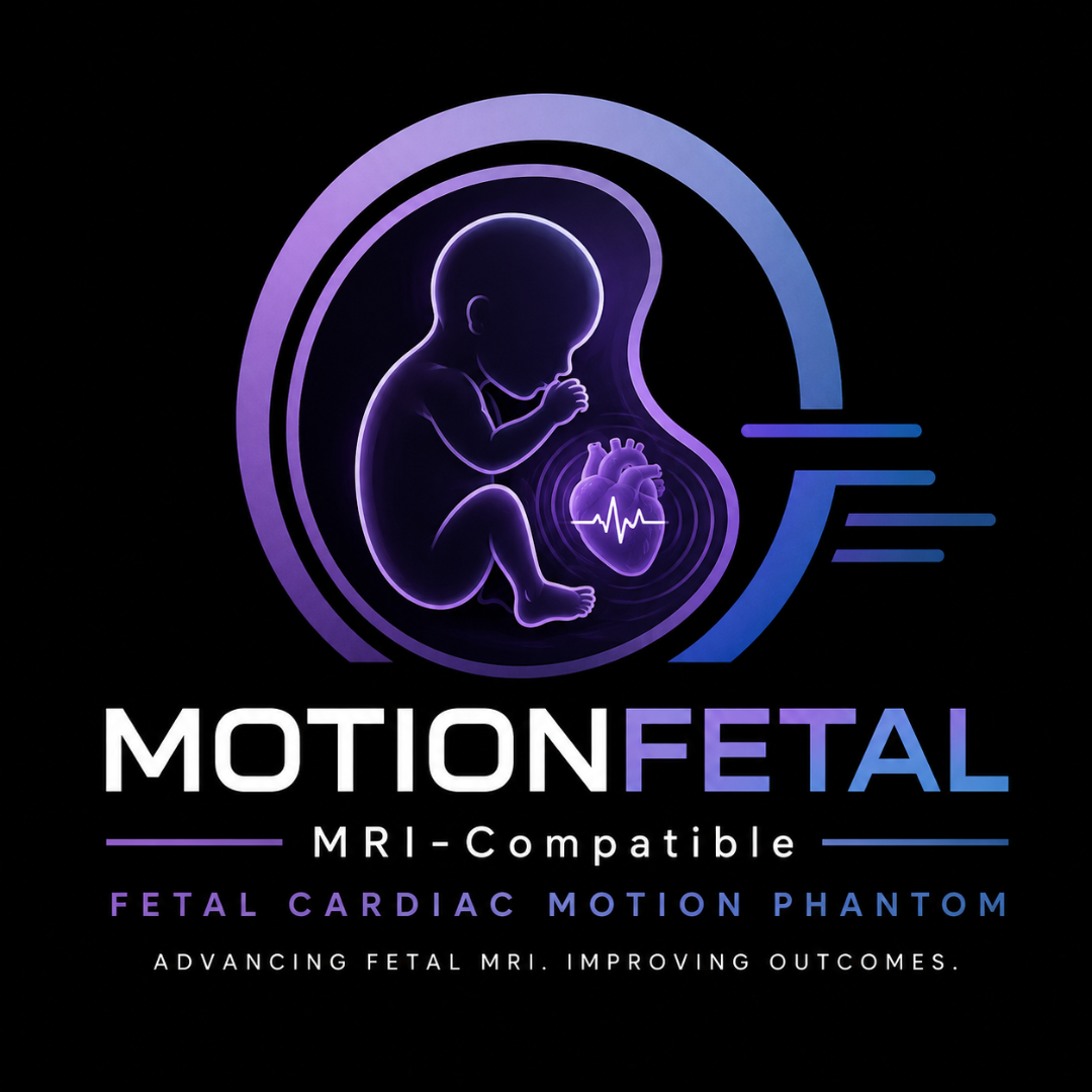 11: Fetal Cardiac MRI Phantom