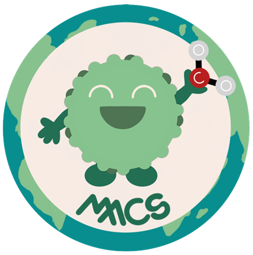 20: Sequestering Atmospheric CO2 Using Minimal Cells