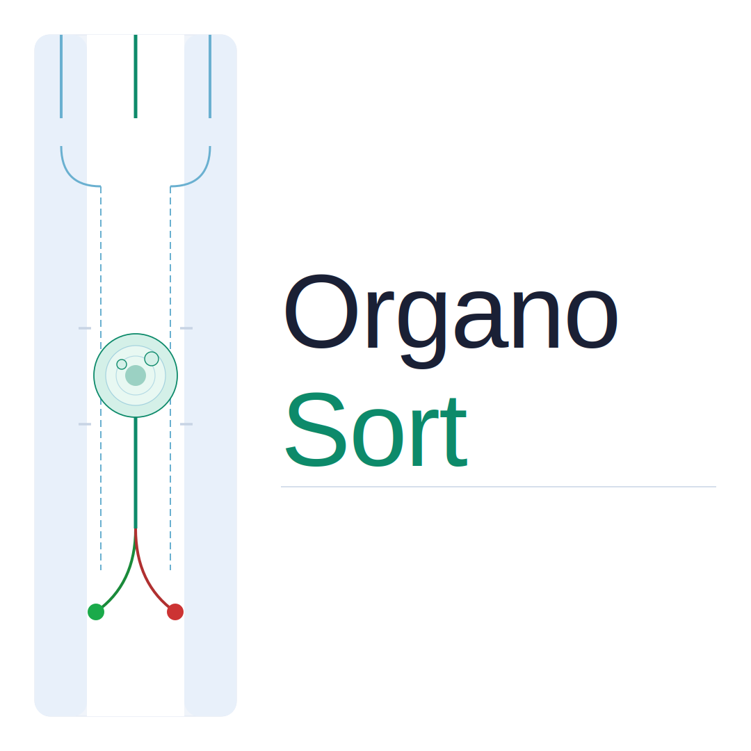 21: Millifluidic Device For Brain Organoid Sorting