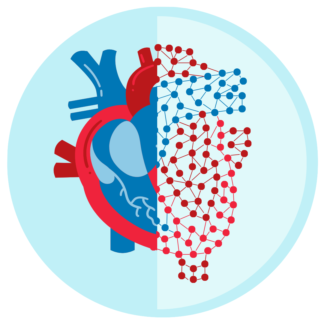 32: Chamber-Specific Cardiac Model
