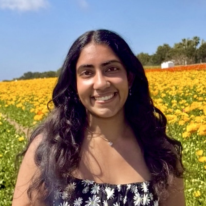 Anjali Tholudur